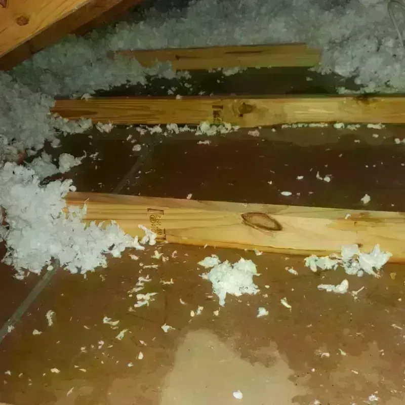 Attic Water Damage in Roaming Shores, OH