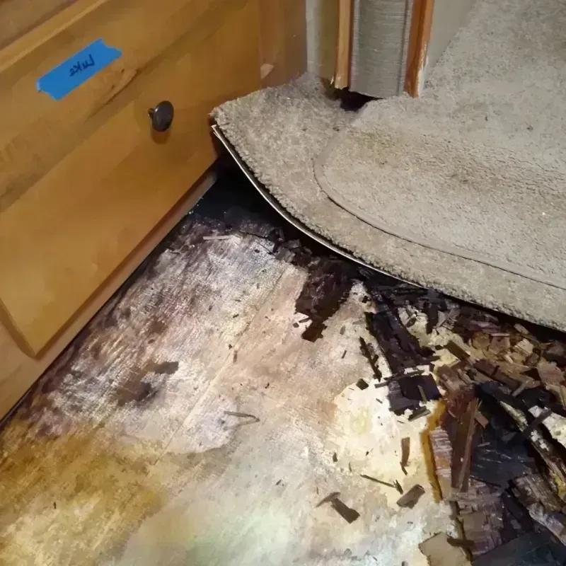 Wood Floor Water Damage in Roaming Shores, OH